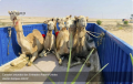 Ecoturismo uma realidade no Caraculo, Namibe
