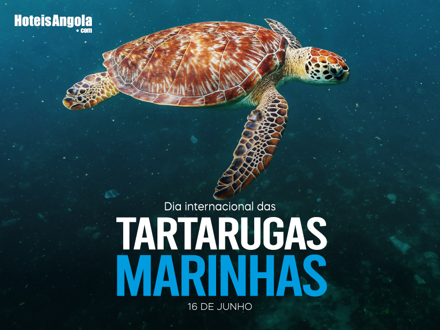 June 16 - International Marine Turtle Day