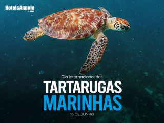 June 16 - International Marine Turtle Day