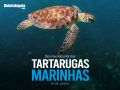 June 16 - International Marine Turtle Day
