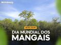 July 26th – World Mangrove Day